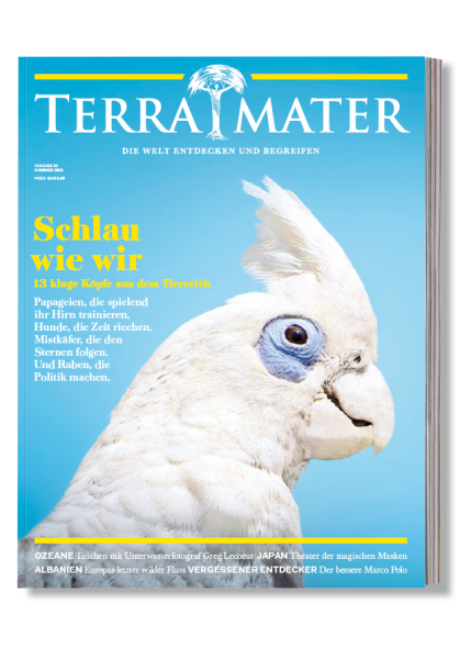 Terra Mater - Flexi-Abo
